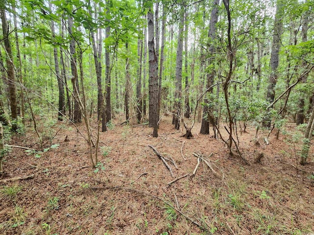 TBD Thatchpalm Ct, Georgetown, SC 29440