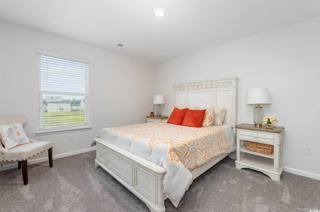 555 Strawberry Field Way, Galivants Ferry, SC 29544 - photo 26
