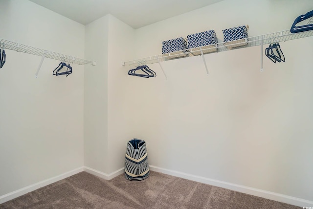 3575 Ashridge Way, Conway, SC 29526 - photo 14