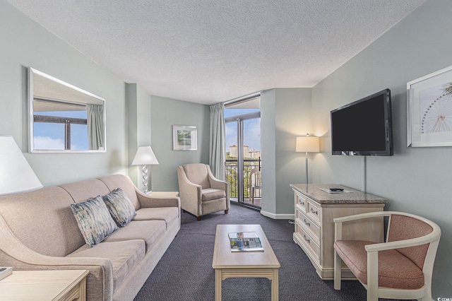 201 77th Ave N Unit 1133, Myrtle Beach, SC 29572 - living room with dark carpet and a textured ceiling