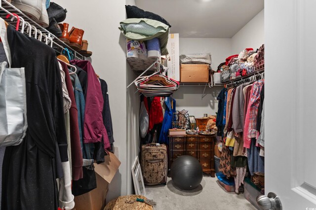 196 Cypress Tree Loop, Longs, SC 29568 - view of walk in closet