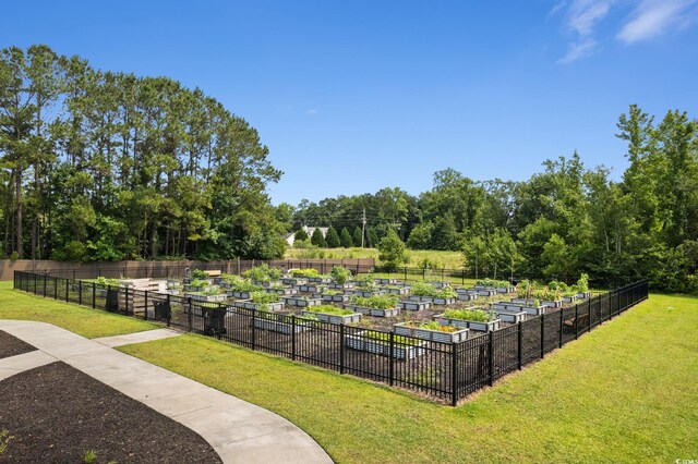 196 Cypress Tree Loop, Longs, SC 29568 - view of community featuring a vegetable garden