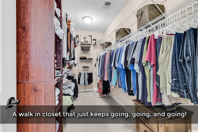 1227 Cypress Shadow Ct, Murrells Inlet, SC 29576 - view of walk in closet