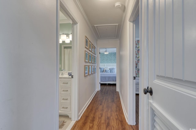 800 S 9th Ave S Unit A-1, North Myrtle Beach, SC 29582 - hallway featuring attic access, light wood-style floors, baseboards, and ornamental molding