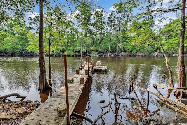 6161 Inman Cir, Conway, SC 29526 - dock featuring a water view