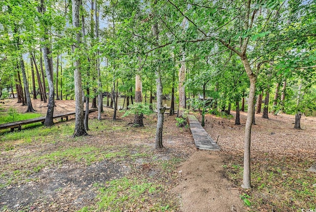 6161 Inman Cir, Conway, SC 29526 - view of yard