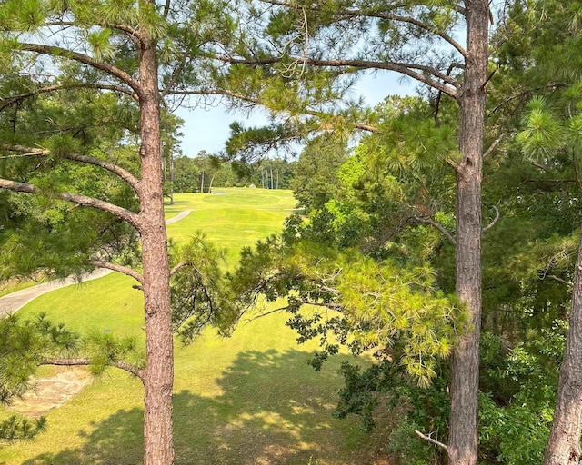 730 Pickering Dr Unit 303, Murrells Inlet, SC 29576 - photo 28