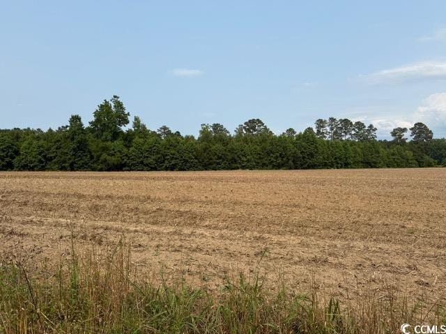 LOT9 Mack Rd, Conway, SC 29526 - photo 2