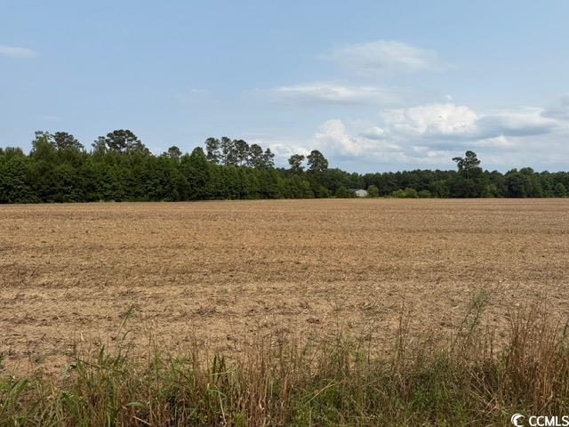 LOT9 Mack Rd, Conway, SC 29526 - photo 1