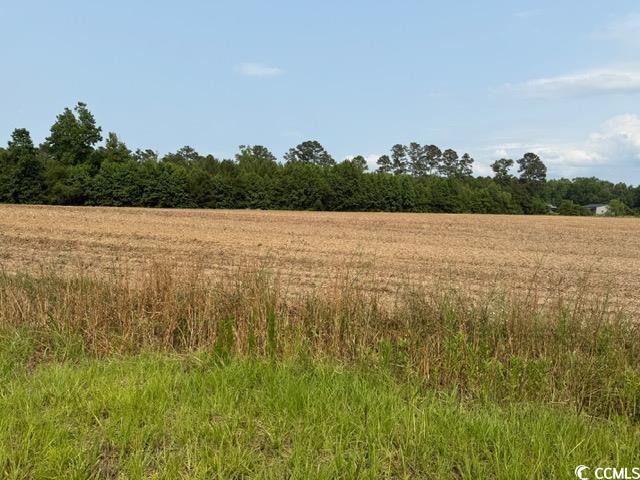 LOT9 Mack Rd, Conway, SC 29526 - photo 8