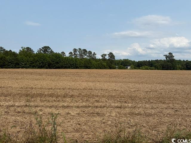 LOT9 Mack Rd, Conway, SC 29526 - photo 7