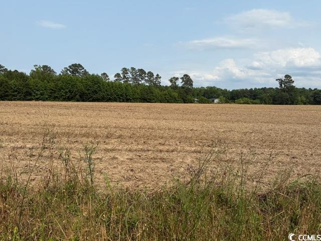 LOT9 Mack Rd, Conway, SC 29526 - photo 6