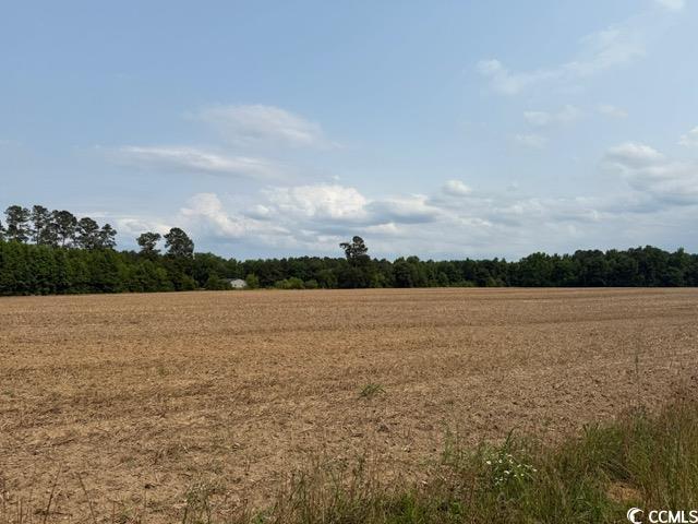 LOT9 Mack Rd, Conway, SC 29526 - photo 5