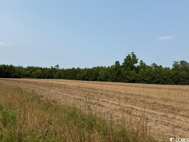 LOT9 Mack Rd, Conway, SC 29526 - photo 4