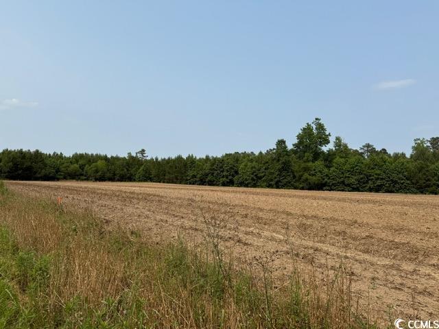 LOT9 Mack Rd, Conway, SC 29526 - photo 3