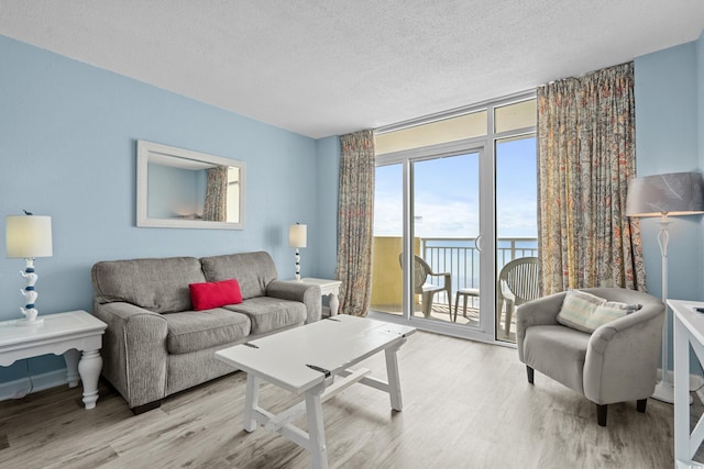 2801 S Ocean Blvd Unit 835, North Myrtle Beach, SC 29582 - living area with wood finished floors and a textured ceiling