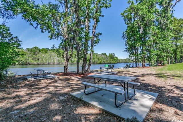 204 Rose Water Loop Unit 204, Myrtle Beach, SC 29588 - photo 27
