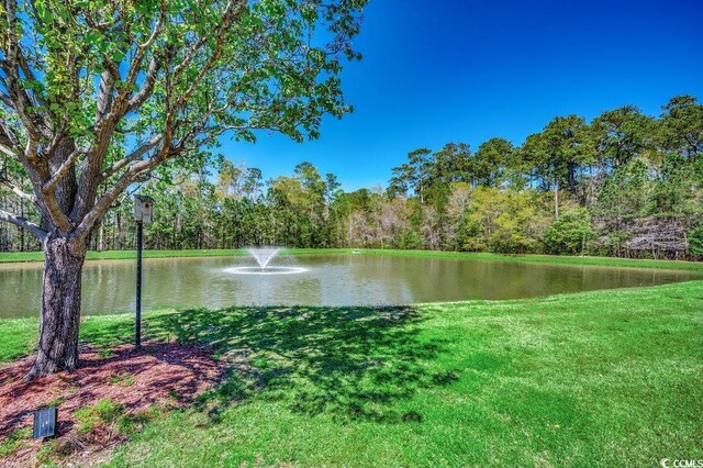 204 Rose Water Loop Unit 204, Myrtle Beach, SC 29588 - photo 21