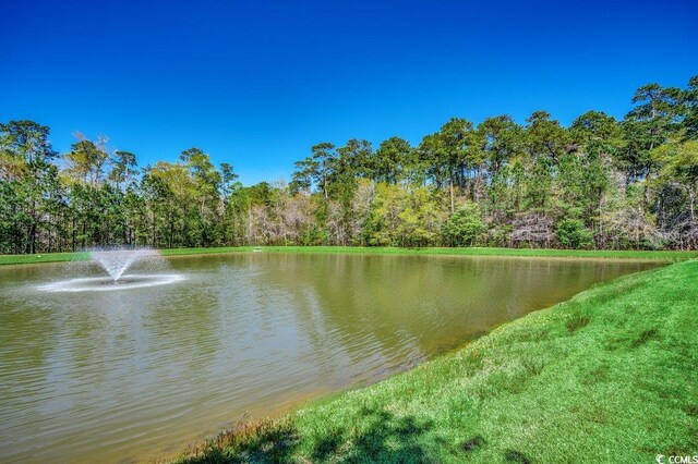 204 Rose Water Loop Unit 204, Myrtle Beach, SC 29588 - photo 20