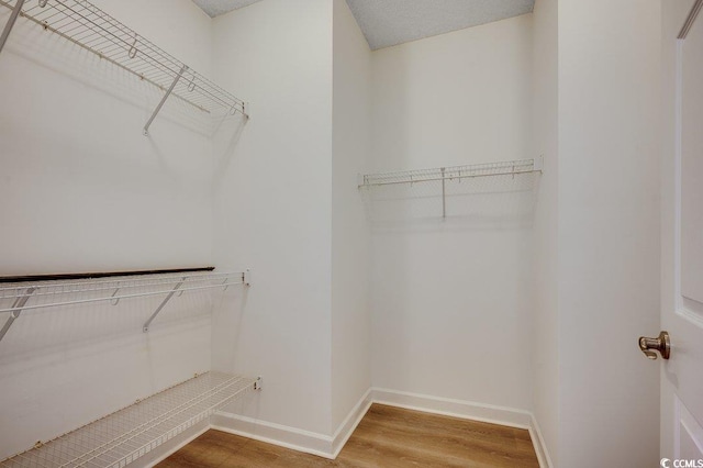204 Rose Water Loop Unit 204, Myrtle Beach, SC 29588 - photo 15