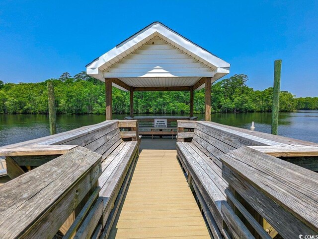 204 Rose Water Loop Unit 204, Myrtle Beach, SC 29588 - photo 34