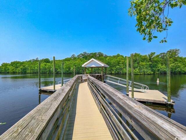 204 Rose Water Loop Unit 204, Myrtle Beach, SC 29588 - photo 33
