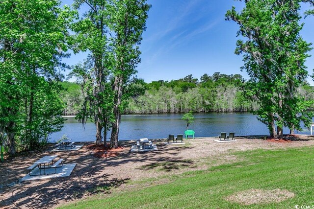 204 Rose Water Loop Unit 204, Myrtle Beach, SC 29588 - photo 32