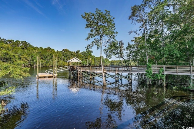 204 Rose Water Loop Unit 204, Myrtle Beach, SC 29588 - photo 31