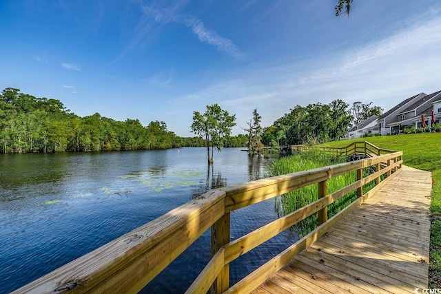 204 Rose Water Loop Unit 204, Myrtle Beach, SC 29588 - photo 30