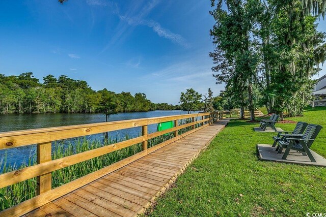 204 Rose Water Loop Unit 204, Myrtle Beach, SC 29588 - photo 28