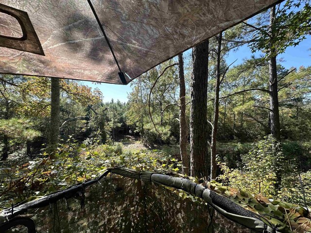 5.47ACRES-TBD High Hill Rd, Scranton, SC 29591 - photo 10
