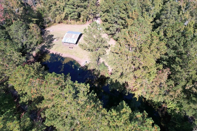 5.47ACRES-TBD High Hill Rd, Scranton, SC 29591 - photo 9