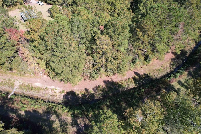 5.47ACRES-TBD High Hill Rd, Scranton, SC 29591 - photo 5