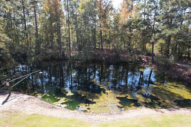 5.47ACRES-TBD High Hill Rd, Scranton, SC 29591 - photo 4