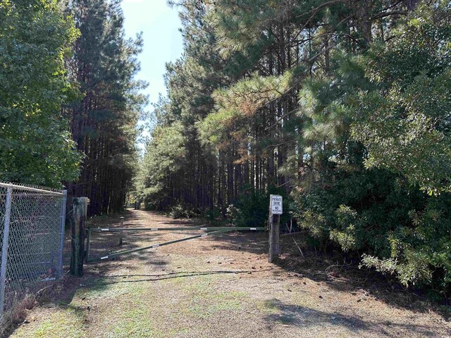 5.47ACRES-TBD High Hill Rd, Scranton, SC 29591 - photo 27