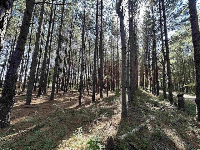 5.47ACRES-TBD High Hill Rd, Scranton, SC 29591 - photo 26