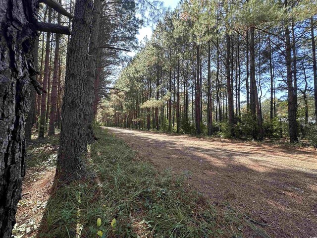 5.47ACRES-TBD High Hill Rd, Scranton, SC 29591 - photo 25