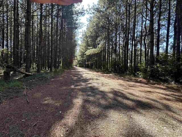 5.47ACRES-TBD High Hill Rd, Scranton, SC 29591 - photo 24