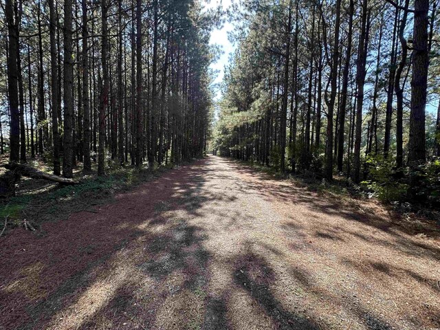 5.47ACRES-TBD High Hill Rd, Scranton, SC 29591 - photo 23