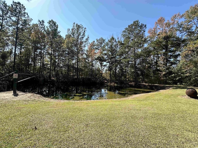 5.47ACRES-TBD High Hill Rd, Scranton, SC 29591 - photo 20