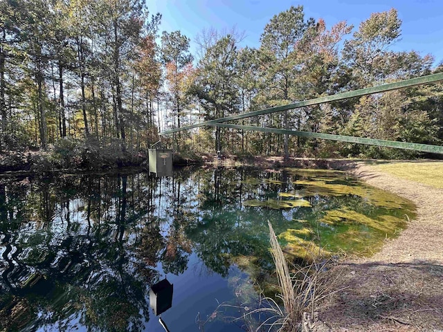 5.47ACRES-TBD High Hill Rd, Scranton, SC 29591 - photo 16