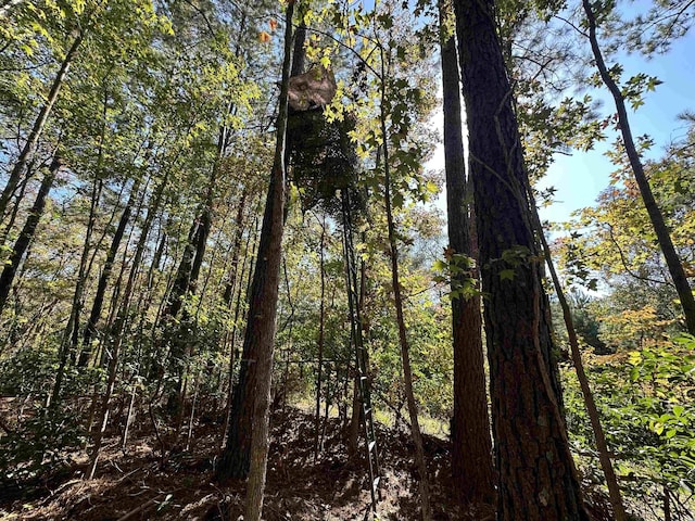 5.47ACRES-TBD High Hill Rd, Scranton, SC 29591 - photo 14