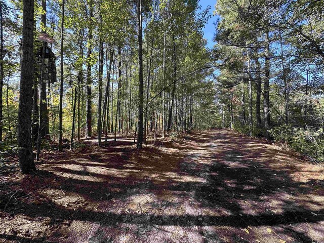 5.47ACRES-TBD High Hill Rd, Scranton, SC 29591 - photo 13