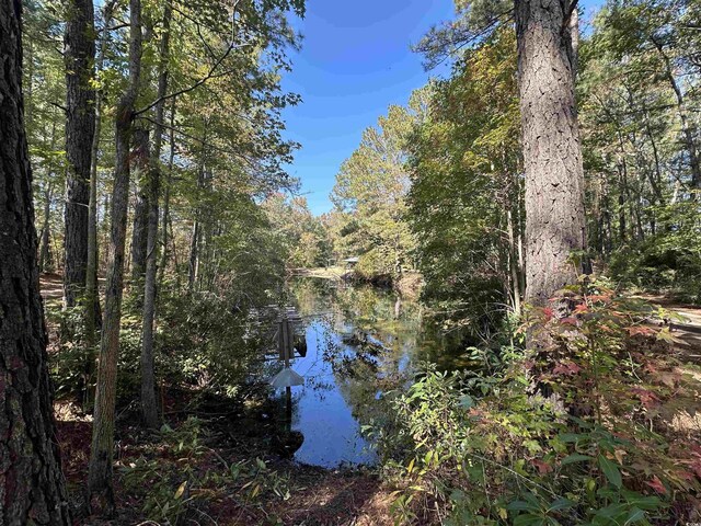 5.47ACRES-TBD High Hill Rd, Scranton, SC 29591 - photo 12