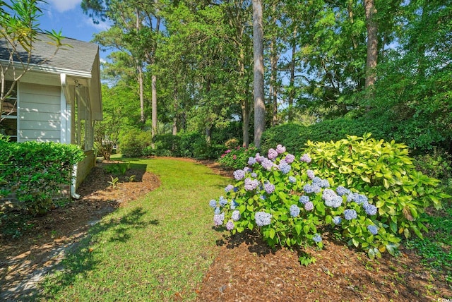 168 Mackinley Cir, Pawleys Island, SC 29585 - view of grassy yard