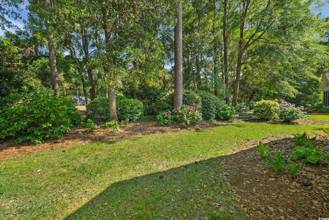 168 Mackinley Cir, Pawleys Island, SC 29585 - view of green lawn