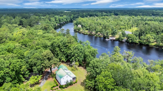 3231 Center Rd, Georgetown, SC 29440 - bird's eye view of a forest and a nearby body of water