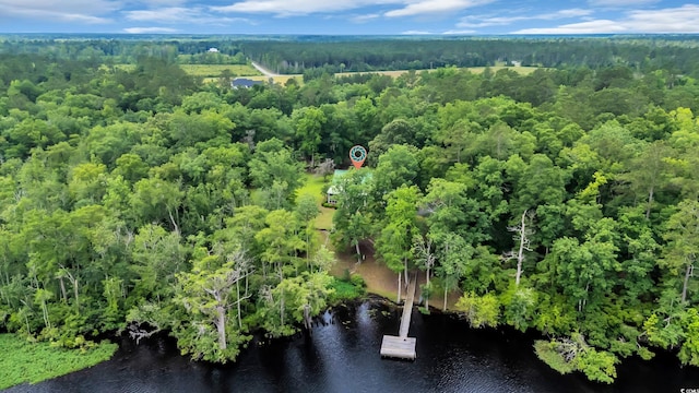 3231 Center Rd, Georgetown, SC 29440 - bird's eye view of a nearby body of water and a forest