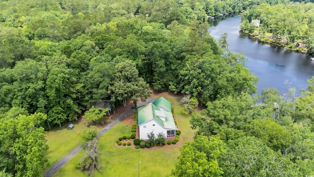 3231 Center Rd, Georgetown, SC 29440 - drone / aerial view of a large body of water and a forest