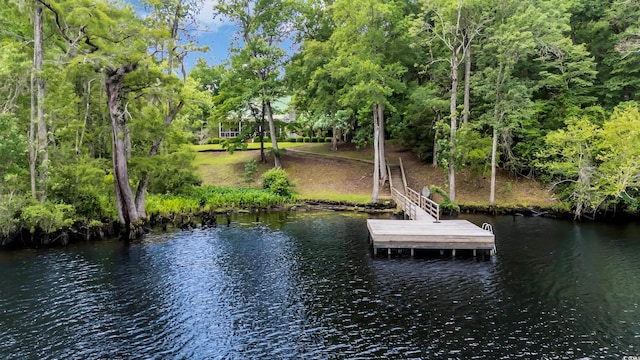 3231 Center Rd, Georgetown, SC 29440 - dock area featuring a water view